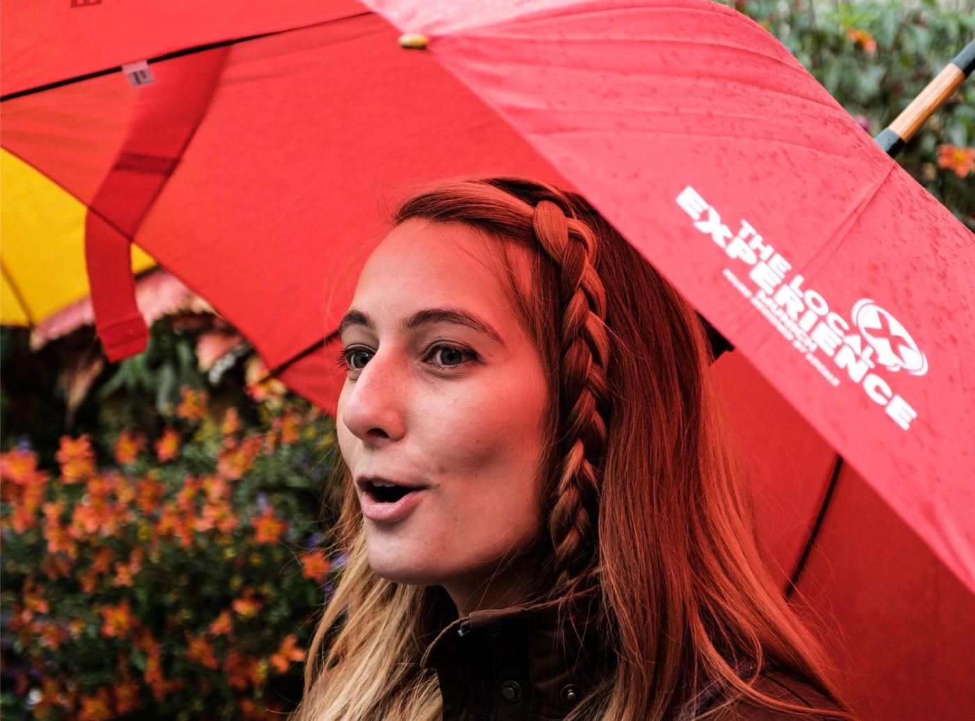 The Munich Experience | The Local Experience