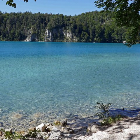 Alpsee with rocky shore, surrounded by forested hills under a bright sky.