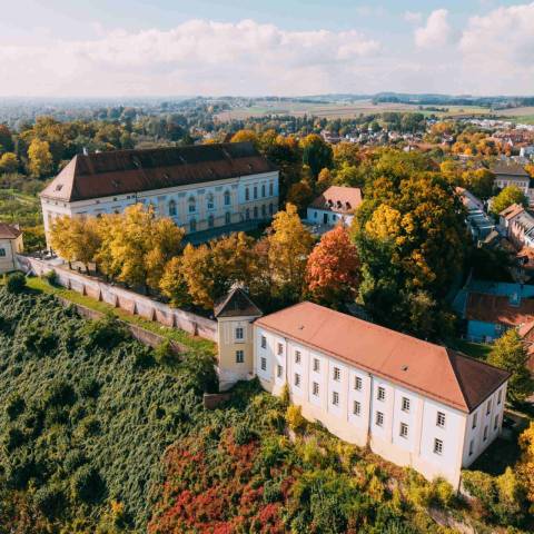 Aerial view of historic buildings surrounded by autumn trees in a rural town.