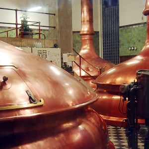 Copper brewing kettles in a brewery with tiled walls and checkered floor.
