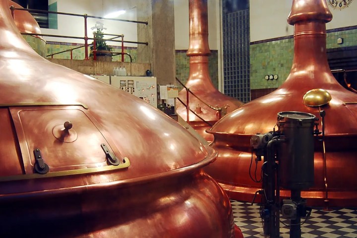 Copper brewing kettles in a brewery with tiled walls and checkered floor.