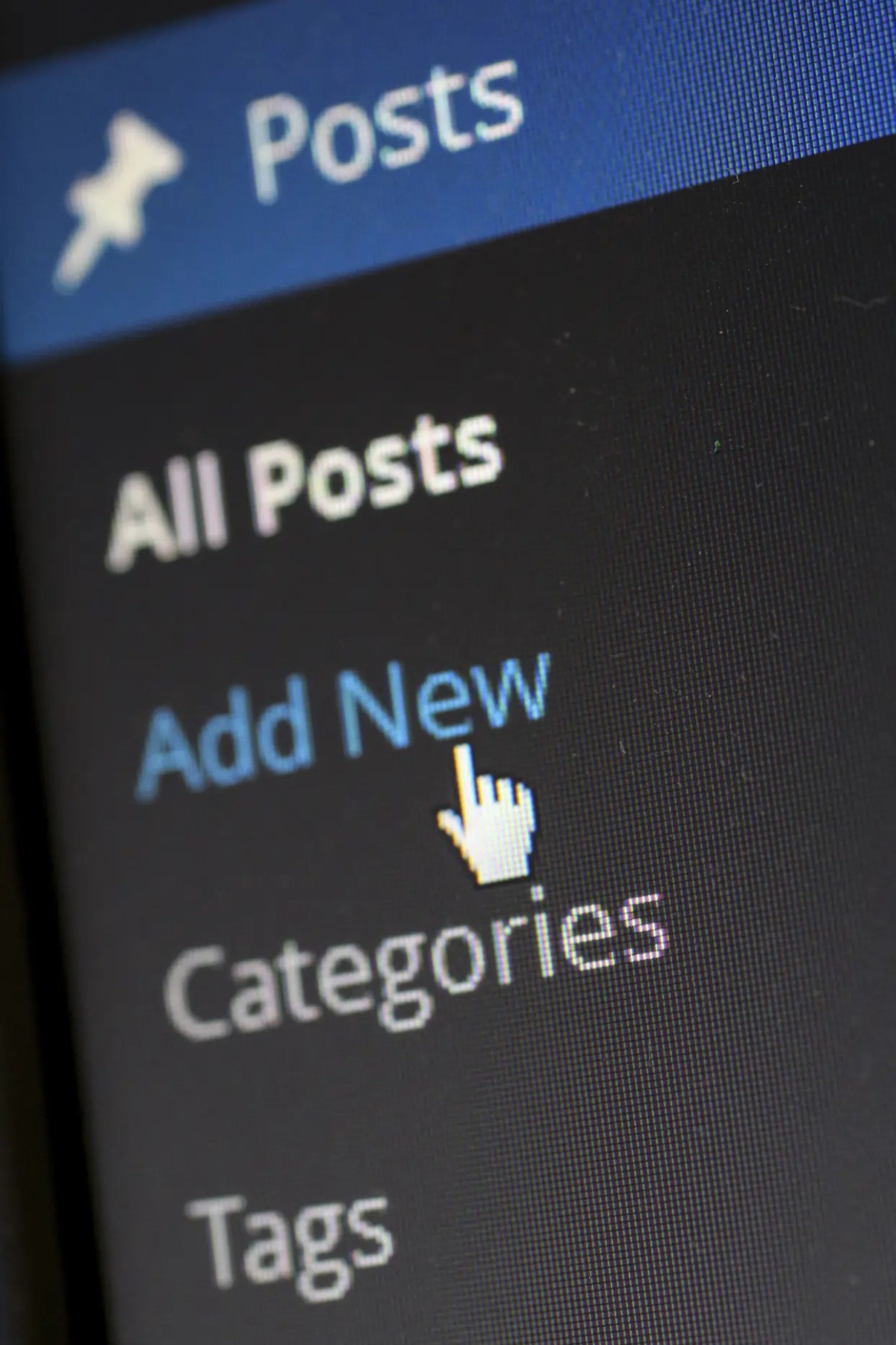 Close-up of a website interface showing 'Posts' menu with 'Add New' highlighted.